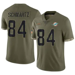 Men's Anthony Schwartz Miami Dolphins No.84 Limited 2022 Salute To Service Jersey - Olive