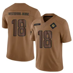 Youth Nick Westbrook-Ikhine Miami Dolphins No.18 Limited 2023 Salute To Service Jersey - Brown